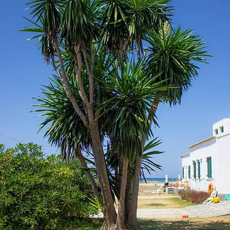 펜션 Driftwood Beach House, Corfu *